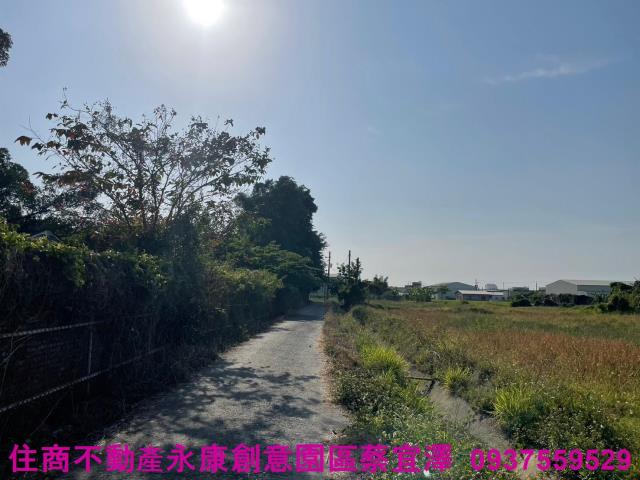 台南農地-5