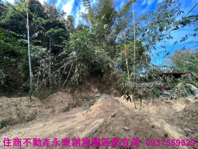 左鎮農地-1