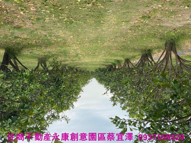 台南麻豆農地-1