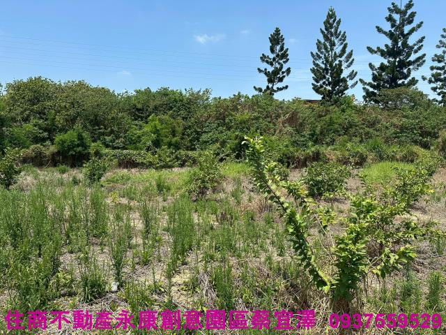 新化農地-2