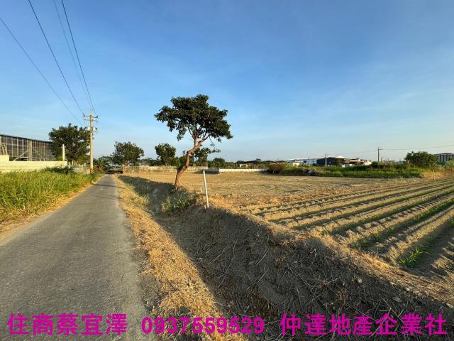 歸仁農地-5