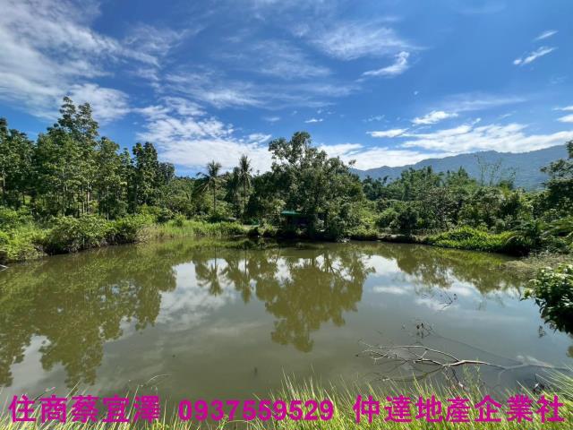 台南南化山坡地-9